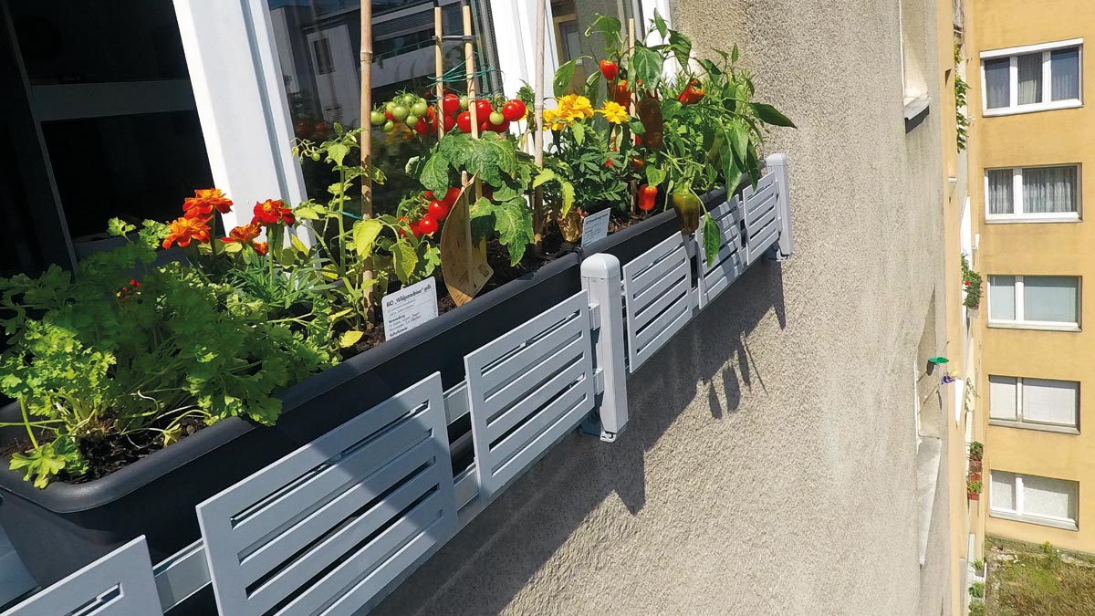 masu Blumenkasten Halterung für Fensterbänke ohne Bohren oder Sägen